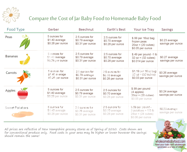 25 BABY FOOD RECIPES STAGE 1
